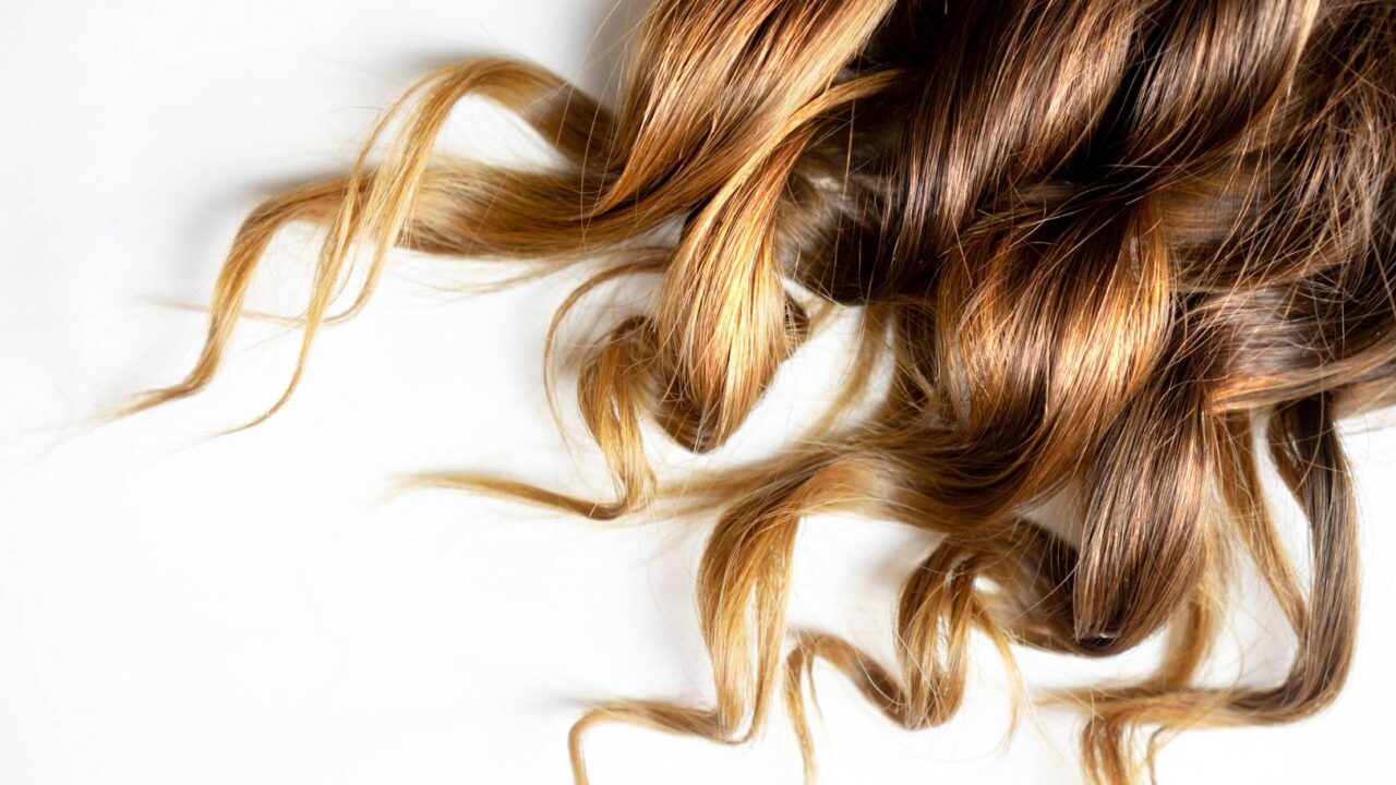 adobestock_294181967_wp